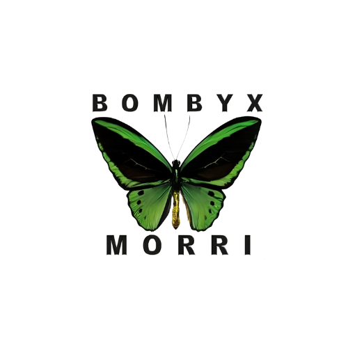 bombyx morri company logo